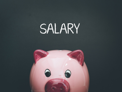 How to Determine a Reasonable Salary From Your S Corporation